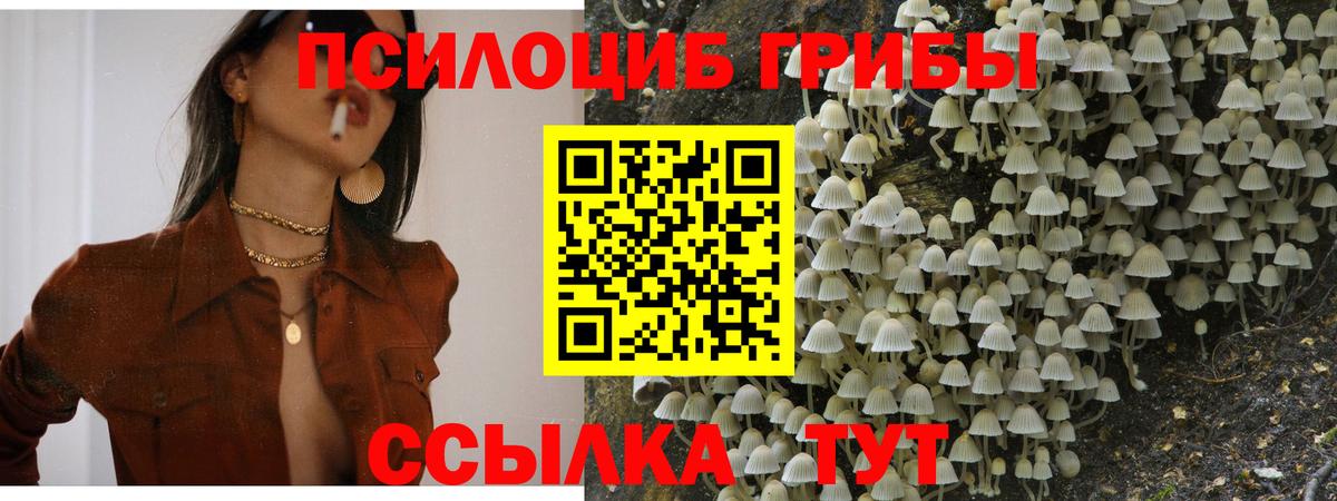 Псилоцибиновые грибы прущие грибы  Вход с VPN  Каспийск 